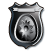 Law Enforcement career icon.png