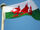 Welsh Flag.jpg