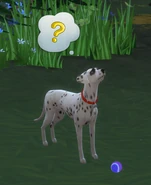 TS4BuddyNewbieBall.png (340 KB)