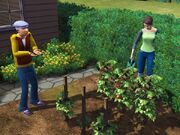 Thesims3-10-1-