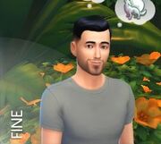 Fine Emotion.jpg