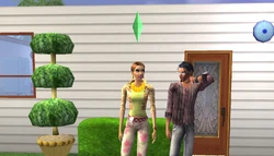 Newbie Family (The Sims 2 console)