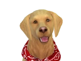 Lulu (The Sims 4: Cats & Dogs)