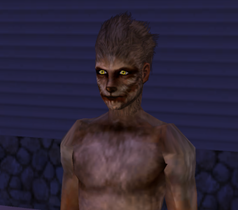 The Sims 4: Werewolves, The Sims Wiki