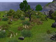 The Sims 3 Barnacle Bay Screenshot 01