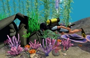 Scuba diving island paradise.jpg (559 KB) A Sim scuba diving.