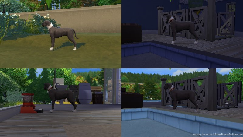 Sims 4 cats and dogs breeding shop
