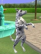 Buddy Newbie.jpg (14 kB)