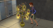 Un niño recolectando el árbol del dinero en Los Sims 2.