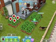 First-details-on-the-sims-freeplay-20111123115121869 640w