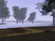 Twinbrook swamp.jpg (556 KB)