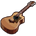 Skill TS4 Guitar