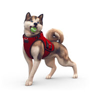 The Sims 4 Cats & Dogs Render 09