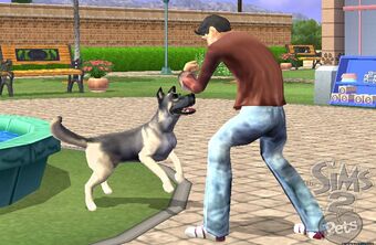 Los Sims 2 Mascotas Consola Fija Simspedia Fandom