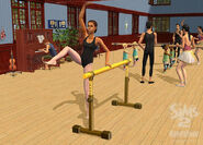 TS2FT Gallery 7