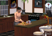 TS2 screenshot 13