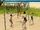 Volleyball court
