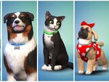 The Sims 4: Cats & Dogs