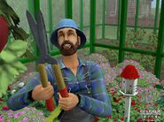 DS2S Afbeelding 15.jpg (163 kB)