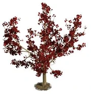 Prune.jpg (15 KB) Hot Date Crumplebottom Prune Tree.