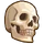 TS4 Skeleton icon