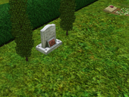 A medium gravestone