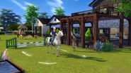 Sims 4 horses