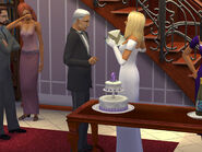 Newlywed Dina cutting her wedding cake with Michael