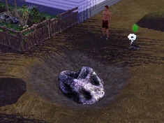 Rock collecting | The Sims Wiki | Fandom