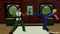 Sims training in the Martial Arts - December 2009