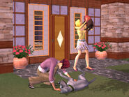 The Sims 2 Pets Console Screenshot 05