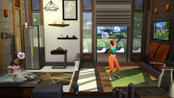 The Sims 4: Fitness Stuff Box Shot for PlayStation 4 - GameFAQs