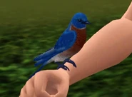 Bluebird.png (58 KB) Bluebird