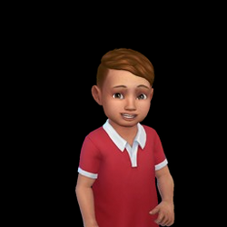 The Sims 4: Toddler Stuff, The Sims Wiki