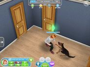The sims freeplay16