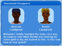 TS3 DS Household Landgraab