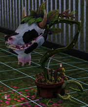 Cowplantsims3.png