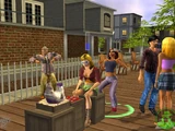 The Sims 2 (console)