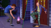 Sims-Generations-Flaming-Bag