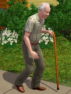 Los Sims ancianos pueden usar bastones.