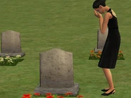 Etokas Cho Died.jpg (90 KB) Vivian mourning Etokas