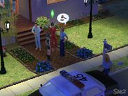 Sims2Trouble