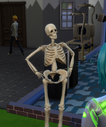 A skeleton servant summoned with the relic.