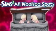 The Sims 3 All 32 WooHoo Spots