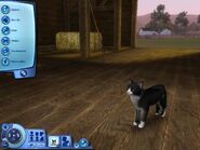 The Sims 3: Pets Create-A-Pet Cat Menu.