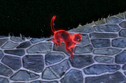 Cat ghost in The Sims 3