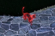 Cat ghost in The Sims 3.png (382 KB) Cat ghost from The Sims 3: Pets.