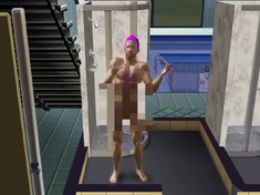 Prank The Sims Wiki Fandom