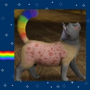 A cat designed to look like Nyan Cat in The Sims 3: Pets.