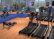 SIMS2UpcSCRNgymaction7